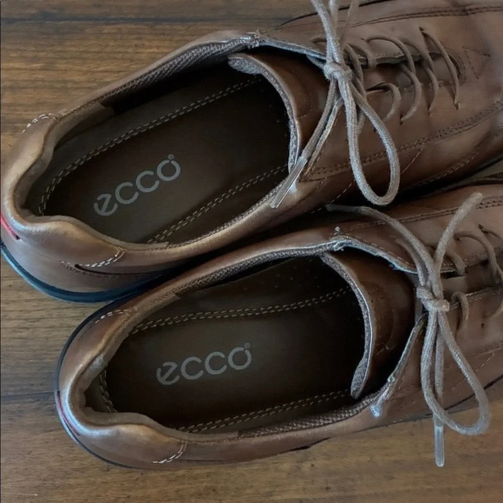 Ecco great pre